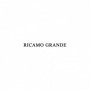 RICAMO GRANDE 20X30