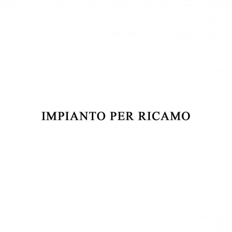 IMPIANTO GRAFICO PER RICAMO