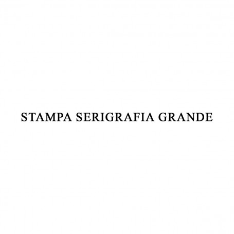 STAMPA SERIGRAFIA GRANDE 20X30