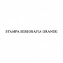 STAMPA SERIGRAFIA GRANDE 20X30