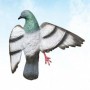 STAMPO COLOMBACCIO MORTO