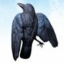 STAMPO CORVO MORTO