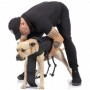 PETTORINA COMBAT-DOG NERA