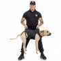 PETTORINA COMBAT-DOG VERDE